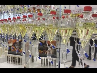 Napoli - "Goccia d'oro", lo store di profumi alla spina (31.10.15)