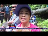 Seruput Kopi Trabas Di Tengah Panorama Indah Air Terjun Curug Sembilan - NET5