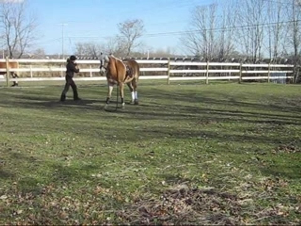 Suzy jeu de l'amitié