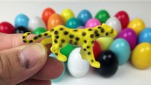Surprise Plastic EGGS 에그몽 장난감 with beautiful plastic animal miniature toys figures
