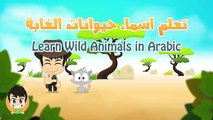 Aquatic Animals for Kids in Arabic - الحيوانات للأطفال - حيوانات البحر باللغة العربية للاط