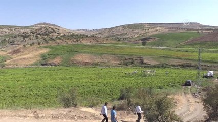 Ekmeğini "Acı"Dan Çıkaran Köy