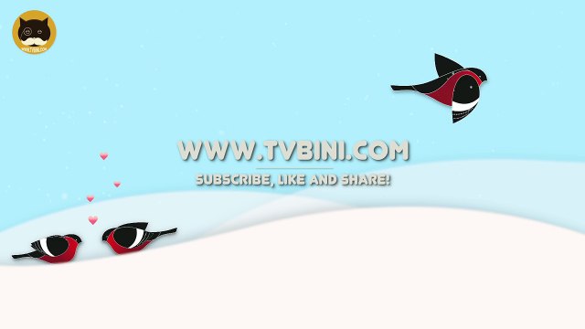 ENTERTAINMENT VIDEO FOR CATS. Cat Games on Screen. Bullfinches.