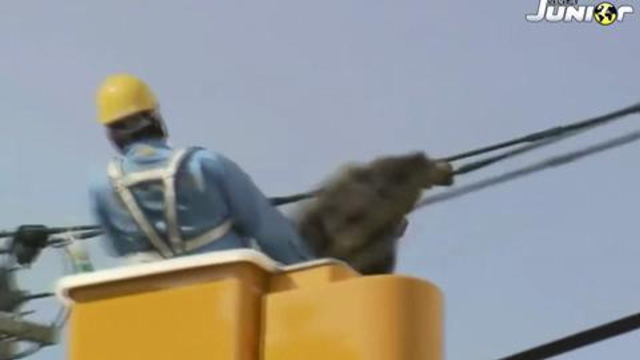 zapping science et vie junior #11#