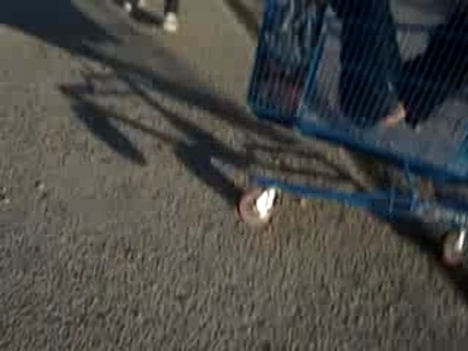 Chute