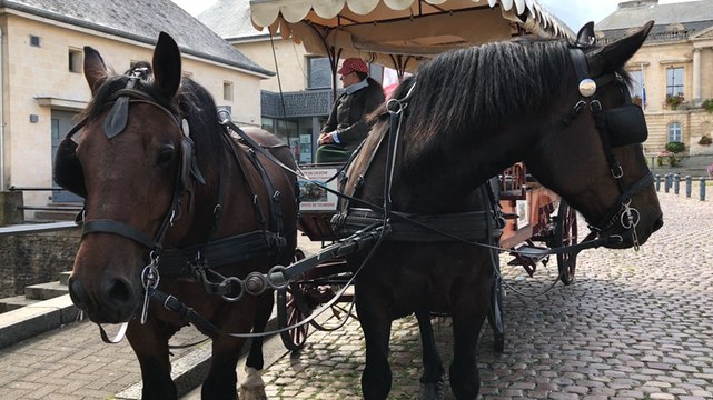 Journées du patrimoine : une balade en calèche