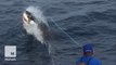 Passengers on this shark expedition got more than they bargained for
