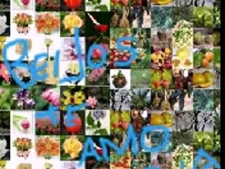 Video Miguel e Claudia (Miguel)