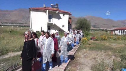 Doktorluğu Bırakarak Kurduğu Çiftlikle 100 Kadın Çiftçiye Örnek Oldu