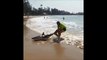 Ce touriste sauve un requin echoué sur la plage... Beau geste