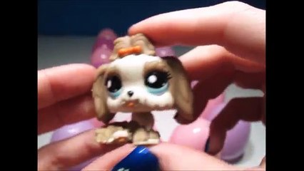 Surprise eggs unboxing video Learn ABC with Littlest Pet Shop