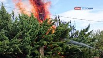 Esplode bombola durante incendio ad Andria: Martiradonna e ragazzi sotto shock 