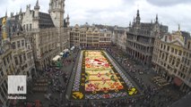 Brussels uses 600,000 flowers to build stunning carpet bed of flowers