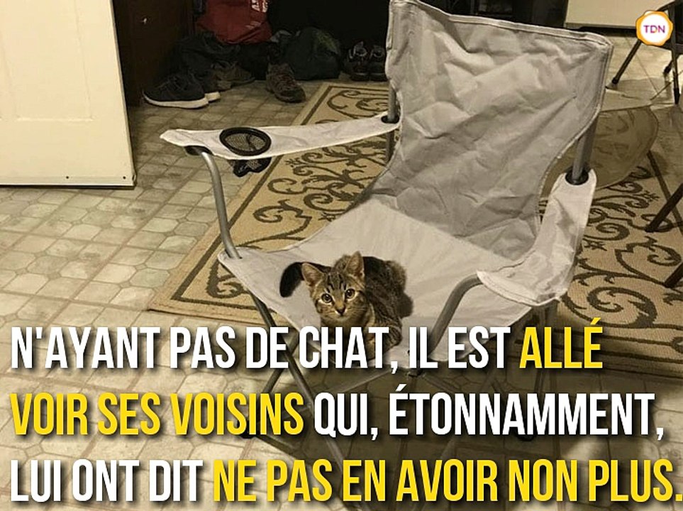 En rentrant chez lui, il trouve un chaton qui ne veut plus partir