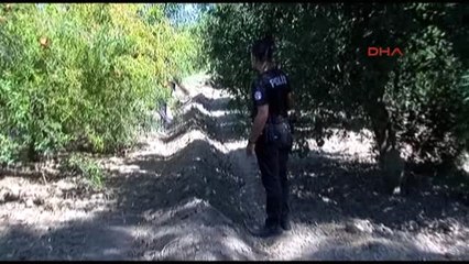 Antalya Ağaca Asılı İp Fotoğrafı Gönderip Helallik İsteyince, Polis Harekete Geçti