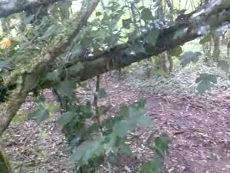 enduro montée presque facile