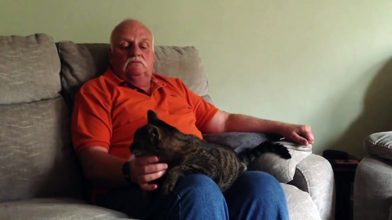 Le plus vieux chat du monde est mort à 32 ans, soit l'équivalent de 144 ans, en âge humain