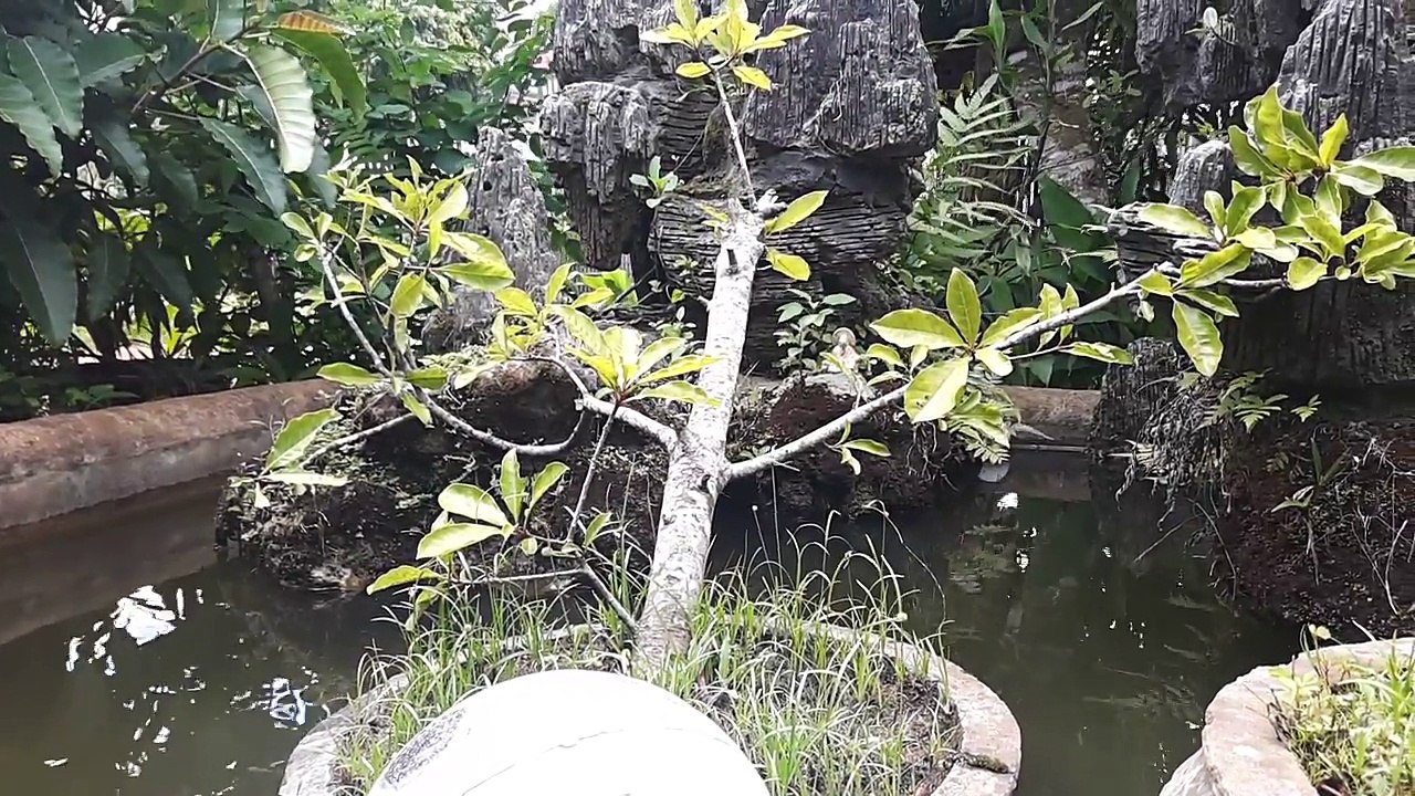 ᴴᴰ Best Cartoon For Kids 2017 ☆♥ Mickey Mouse Pluto Pluto at the Zoo