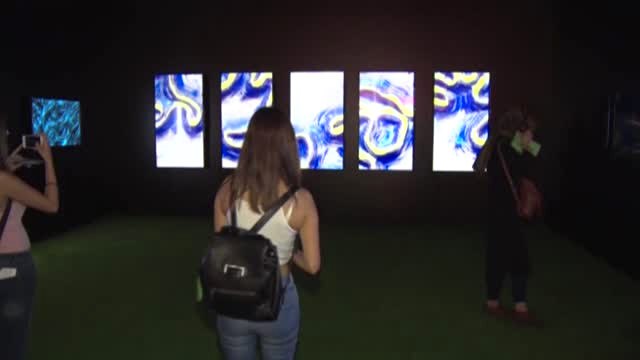 Dijital Sanatla Doğanın Buluştuğu Eserler Plugin'de Ziyaretçilerini Bekliyor