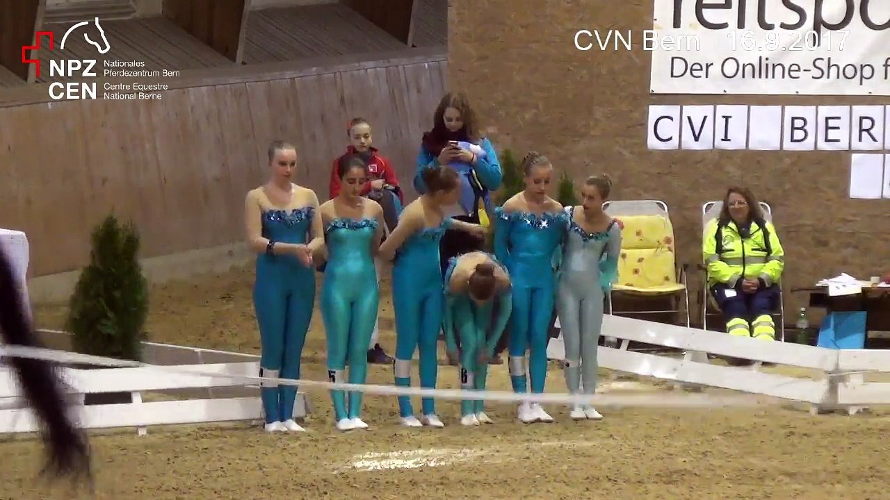 CVN Bern 2017 - B Teil 2