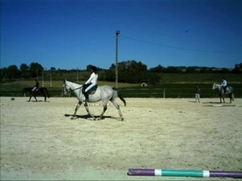 Montage concours de dressage à Bonnefont Nedy et moi
