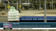 Bolivia ingresa a la era petroquímica con nueva planta de urea