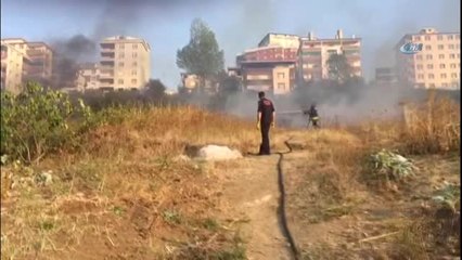 Yavru Kaplumbağayı Yanmaktan Son Anda Böyle Kurtardılar