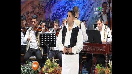 Florin Mihalache - Premiul ``Cramei Jidvei`` - Fest. Naţional de Folclor ``Strugurele de Aur`` - 2017