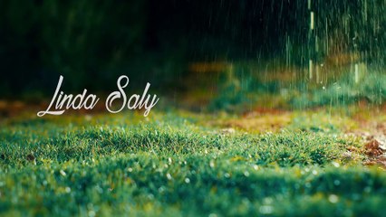 Linda Saly ▷ Lindas palabritas (Primicia 2017) Studios Roy™ OFICIAL✓