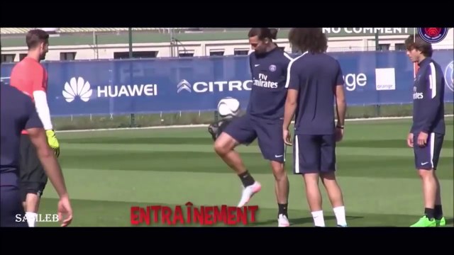Zlatan Ibrahimovic - Freestyle , Trick and Skills