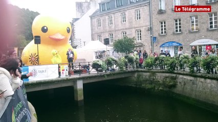 Quimper. 12.000 canards pour la 3è édition de la Duck Race
