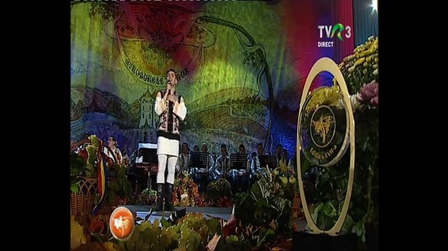 Gabriel Marian - Festivalul National de folclor Strugurele de aur - Alba Iulia - 15.09.2017
