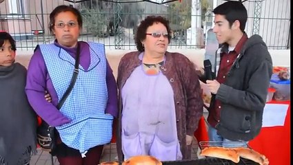 Chien voleur super discret