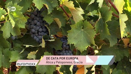 De cata por Europa: viticultores griegos | Euromaxx