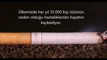 Ülkemizde her yıl 35.000 kişi hayatını kaybediyor.