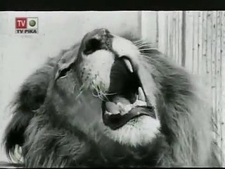 Ko pride lev 1972 - Ceo domaci film 1. deo