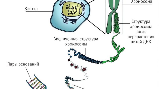 Мужское женское детский дом. Семь тестов днк. Dna тест. Ольга мордовина камышин мужское женское. Семь тестов днк.