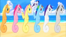 ✿ MLP Mane 6 Sea Ponies And Sharks - My Little Pony Coloring Book Video Episode For Kids FIM HD