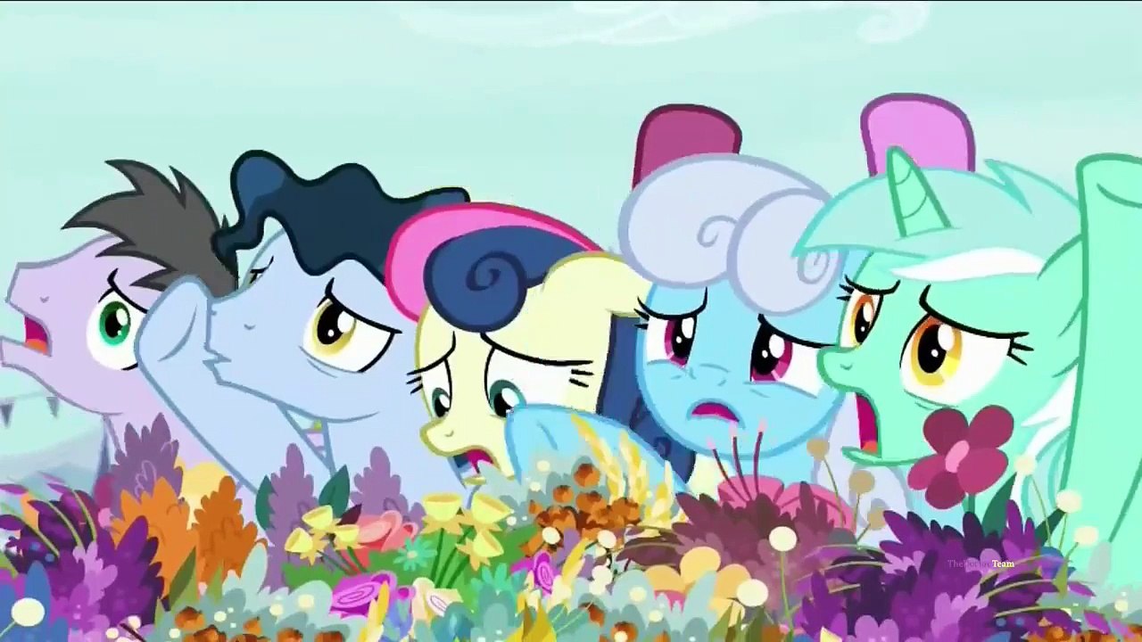 My Little Pony:FiM - Season 7 Episode 19 - It Isn’t the Mane Thing About You
