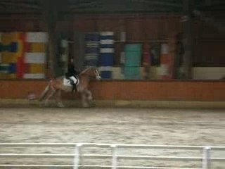 Kavril et Moi dressage bondue