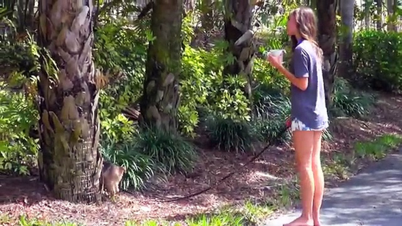 Matin mon Routine bonnyrebecca