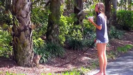 Matin mon Routine bonnyrebecca