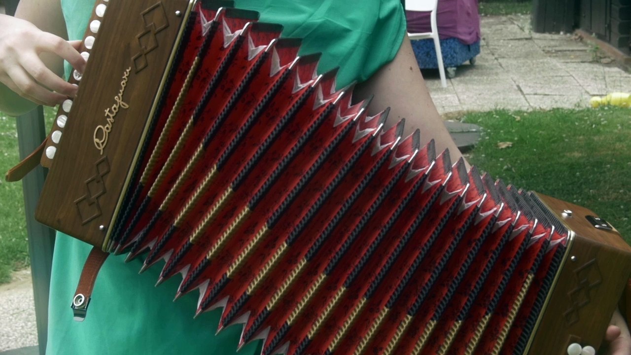 Spectacle d'accordeoniste en Belgique par francois-dupont.be