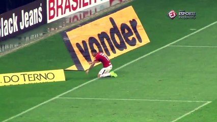 Alemão Knees: Common Issue in German Shepherds 🐾