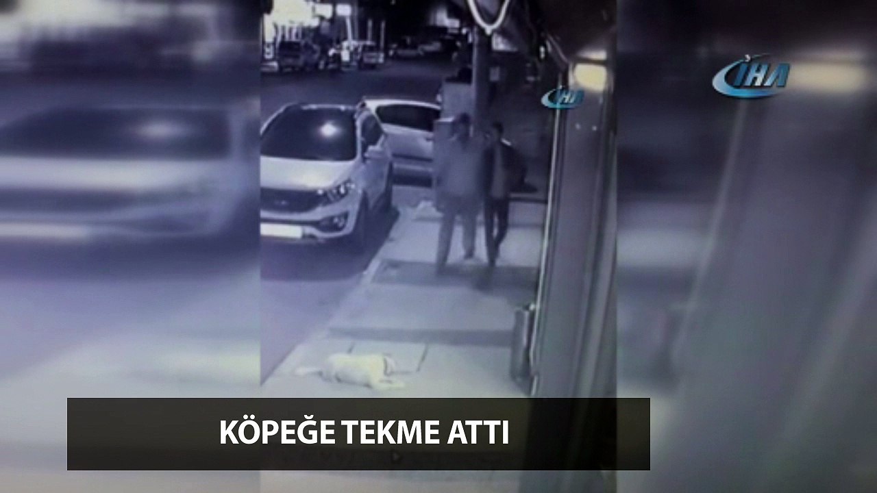 Kaldırımda oturan köpeğe tekme