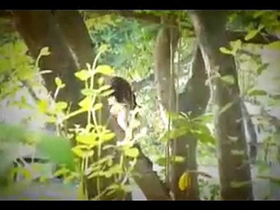 Myanmar TV   Myaing Mahar Pone Pyin