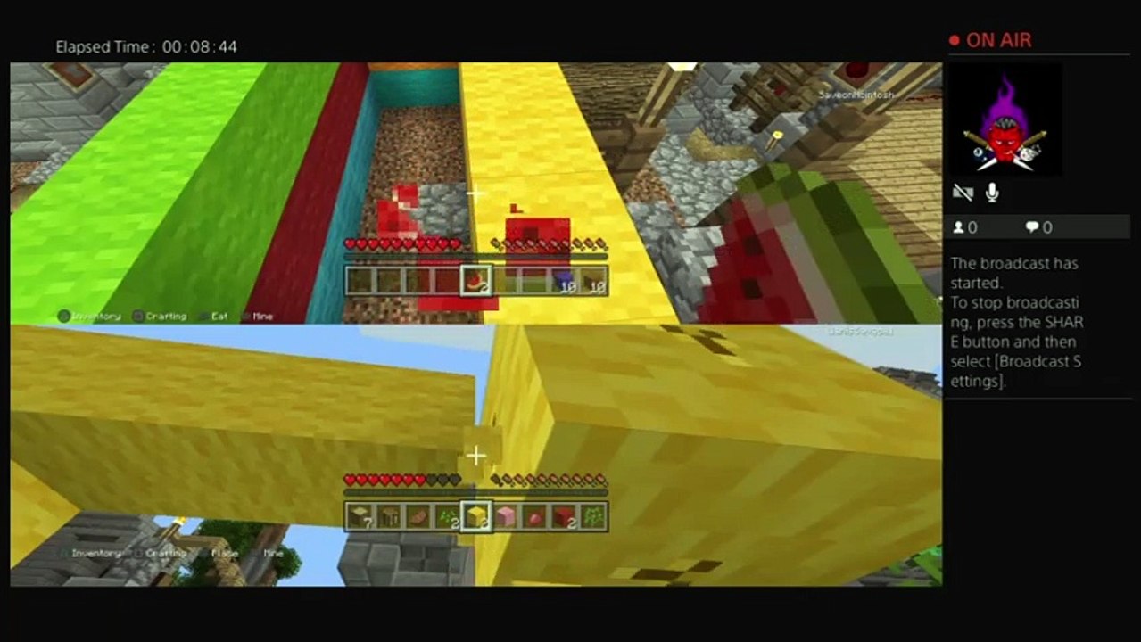 Minecraft/w my sister (15)