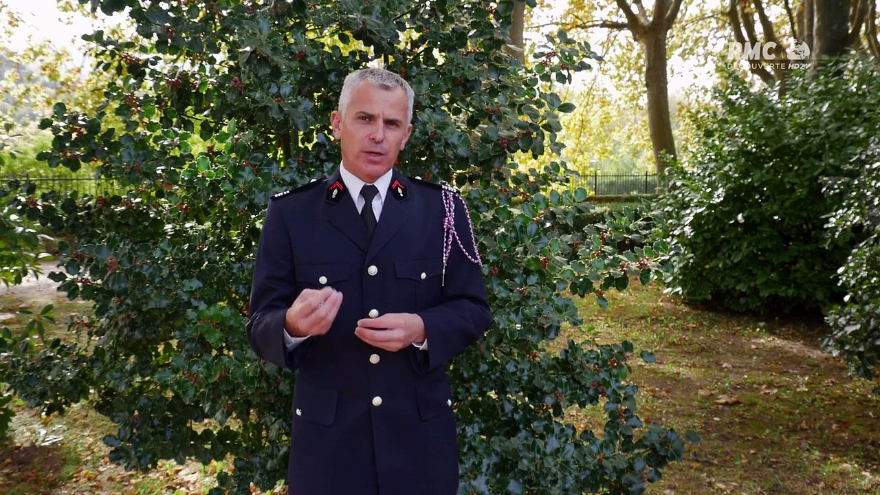 Pompiers au coeur du danger incendie historique