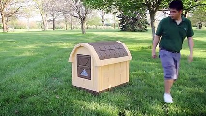 7 Things Your Dog Wants On Amazon | New Amazing Inventions 2017 by Leroy Beehler