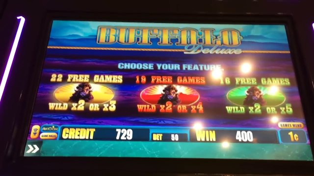 Buffalo Deluxe slot machine, 2 bonus tries